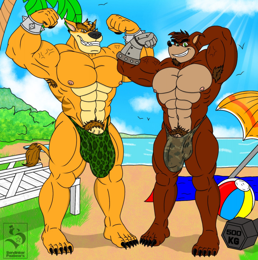 activision anthro barefoot beach big_penis clothing crash_bandicoot_(series) crunch_bandicoot duo feet flexing fur genitals hi_res male male/male penis seaside sondinker_fazbear's thong tiny_tiger underwear video_games