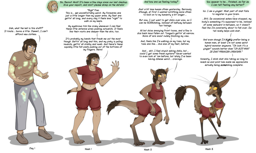 anthro brown_body brown_fur clothing digitigrade duo female fur gender_transformation human kassen_akoll male mammal out-of-placers ran_ste-su_g'mindel simple_background slow_transformation transformation transformation_sequence valsalia webcomic white_background yellow_eyes yinglet