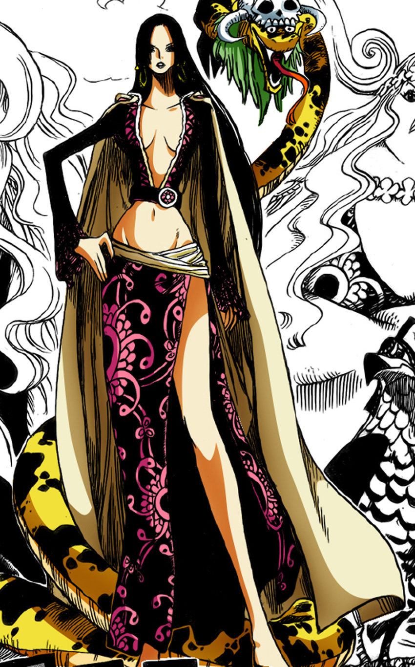 3girls absurdres amazon amazon_lily belt bird black_hair boa_hancock boa_marigold boa_sandersonia breasts cape cleavage earrings falcon female hand_on_hip hat highres hips jewelry jolly_roger long_hair midriff multiple_girls one_piece pet pirate salome_(one_piece) sash shichibukai siblings side_slit sister sisters snake standing