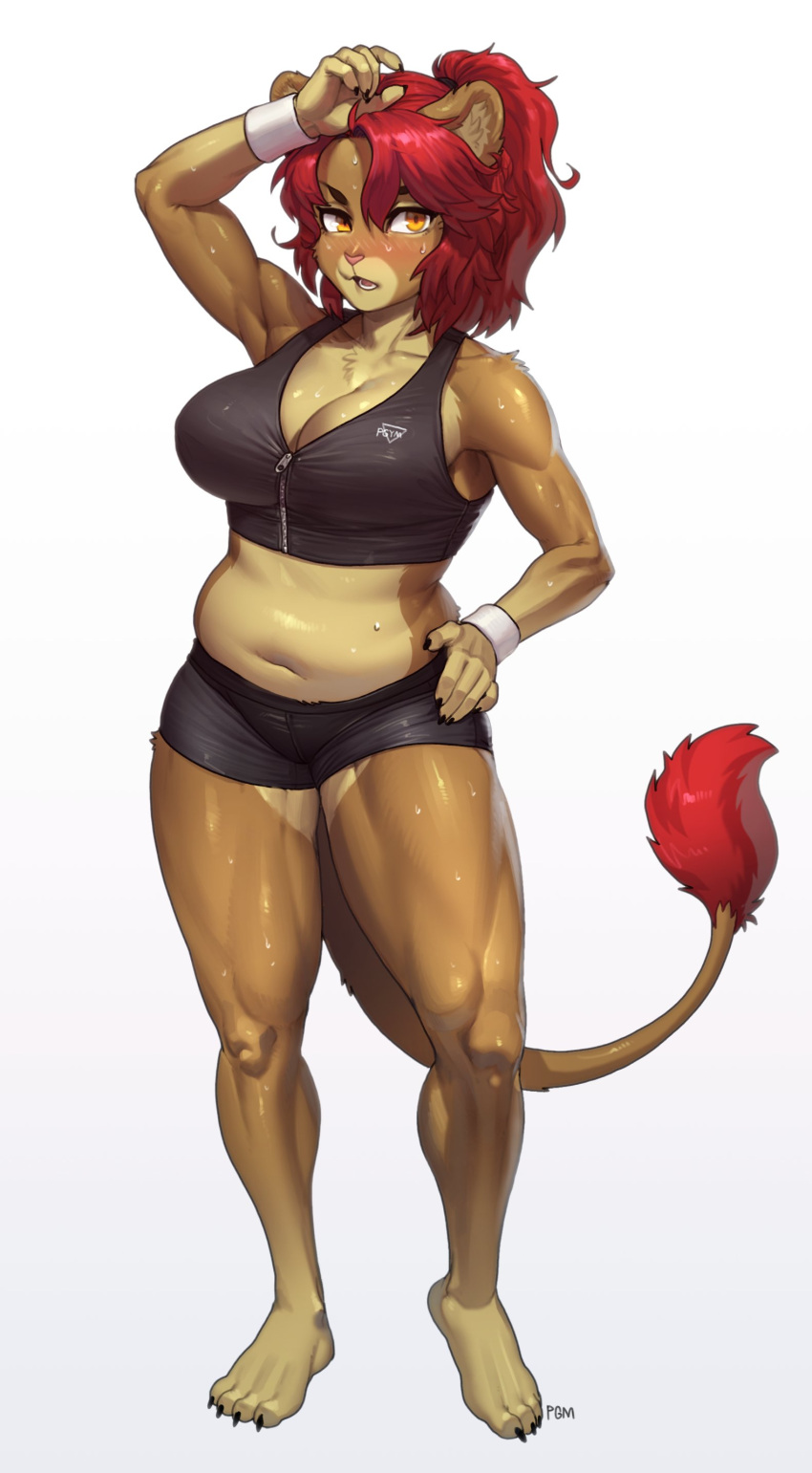 2022 absurd_res anthro barefoot bodily_fluids bottomwear bra breasts chest_tuft chubby_lioness_(pgm300) clothing feet felid female fur gym_bottomwear gym_clothing gym_shorts hair hand_on_hip hi_res inner_ear_fluff lion looking_at_viewer mammal midriff navel pantherine pgm300 plantigrade ponytail red_hair shorts shoulder_tuft slightly_chubby solo sports_bra sweat tail_tuft tan_body tan_fur tuft underwear yellow_eyes zipper