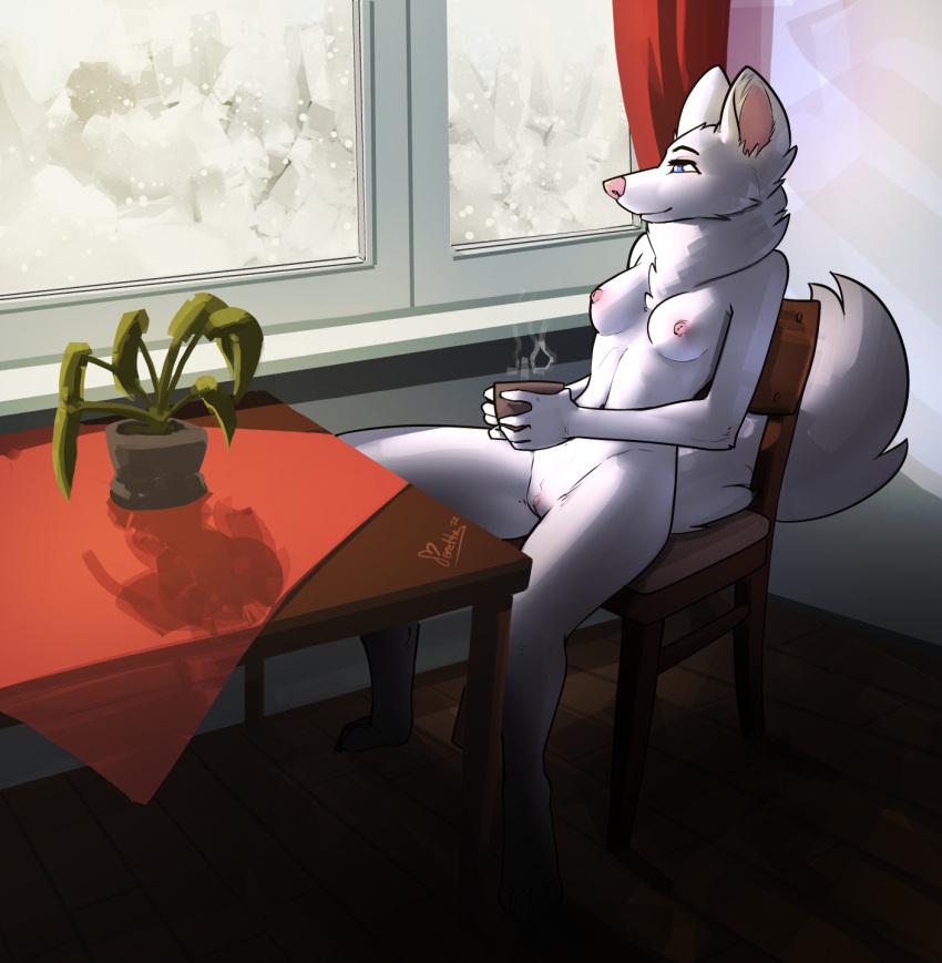 blue_eyes breasts canid canine canis container cup domestic_dog female feretta fur furniture genitals german_shepherd herding_dog hi_res inside looking_out_window mammal nude pastoral_dog plant pussy smile table white_body white_fur window