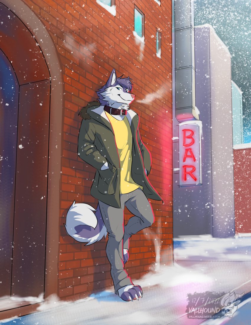 anthro bar bottomwear canid canine canis clothed clothing coat collar domestic_dog fully_clothed fur hi_res husky kodie leaning_on_wall male mammal nordic_sled_dog outside pants pink_nose public purple_body purple_fur snow solo spitz standing topwear vallhund white_body white_fur