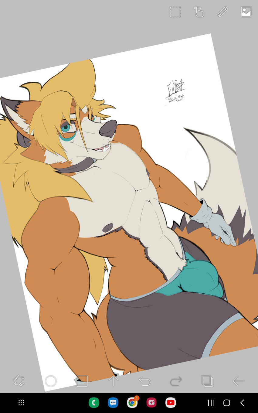 absurd_res anthro bedroom_eyes bulge canid canine clothing fox hi_res iaian_luxo_fox male mammal narrowed_eyes one_eye_closed seductive solo underwear unfinished wink
