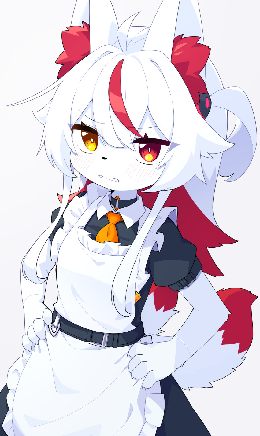 2022 5_fingers absurd_res ahoge anthro blush blush_lines breasts canid canine claws clothed clothing devil-vox digital_media_(artwork) female female_anthro finger_claws fingers fox fur hair hands_on_hips heterochromia hi_res inner_ear_fluff kemono knia_(devil-vox) looking_at_viewer maid_apron maid_uniform mammal red_body red_eyes red_fur red_hair small_breasts solo tuft uniform white_body white_fur white_hair yellow_eyes