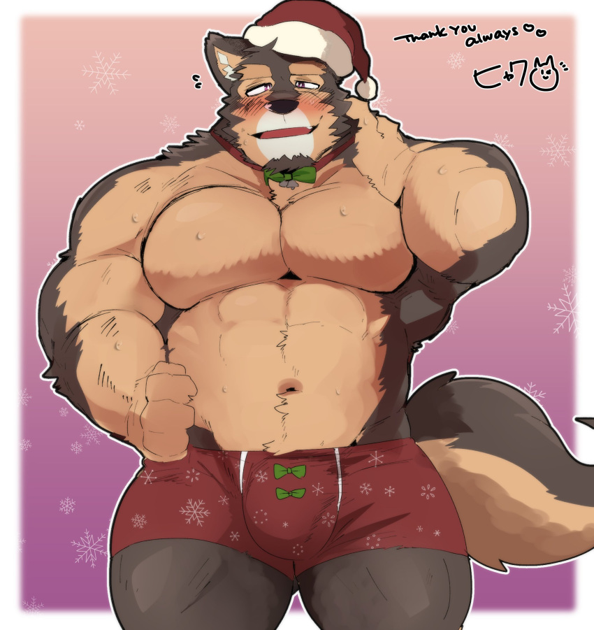 abs anthro blush bottomwear brown_body brown_fur bulge canid canine canis christmas clothing domestic_dog fur hi_res holidays hyaku_(artist) lifewonders live-a-hero male mammal muscular muscular_anthro muscular_male navel pecs pubraseer shorts solo video_games