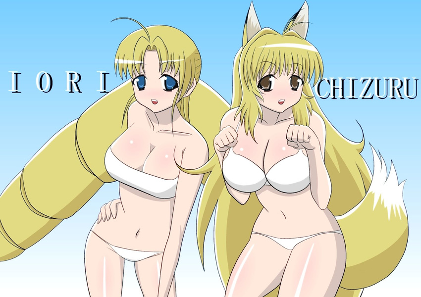 2girls animal_ears bare_shoulders bikini blonde_hair blue_eyes breasts brown_eyes cleavage crossover female highres kanokon ladies_versus_butlers! large_breasts midriff minamoto_chizuru multiple_girls sernia_iori_flameheart simple_background smile swimsuit tail