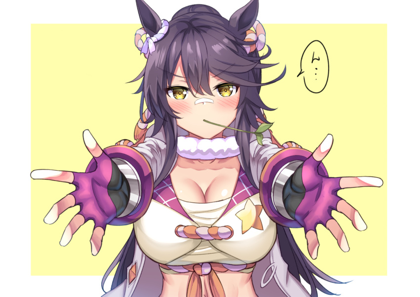1girl animal_ears bandaid bandaid_on_face bandaid_on_nose bangs black_hair blush breasts chest_sarashi cleavage coat collarbone commentary_request crop_top ear_ornament fingerless_gloves gloves hair_between_eyes horse_ears horse_girl incoming_hug large_breasts long_hair long_sleeves looking_at_viewer midriff mouth_hold narita_brian_(umamusume) navel open_clothes open_coat ponytail rope sarashi shimenawa shirt sidelocks solo speech_bubble stalk_in_mouth standing star_(symbol) star_print umamusume underbust upper_body white_coat white_shirt yellow_eyes yuutopia