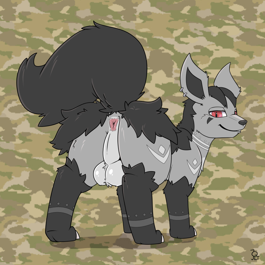 1:1 2022 absurd_res anus aztepyeen backsack balls black_body black_fur butt camo_background ear_piercing fan_character fang_(fang-and-fantasy) feral fur generation_3_pokemon genitals grey_body grey_fur grin hi_res looking_at_viewer looking_back looking_back_at_viewer male markings mightyena multicolored_body multicolored_fur nintendo nude pattern_background piercing pokemon pokemon_(species) presenting presenting_hindquarters quadruped raised_tail rear_view red_eyes simple_background smile solo standing two_tone_body two_tone_fur video_games