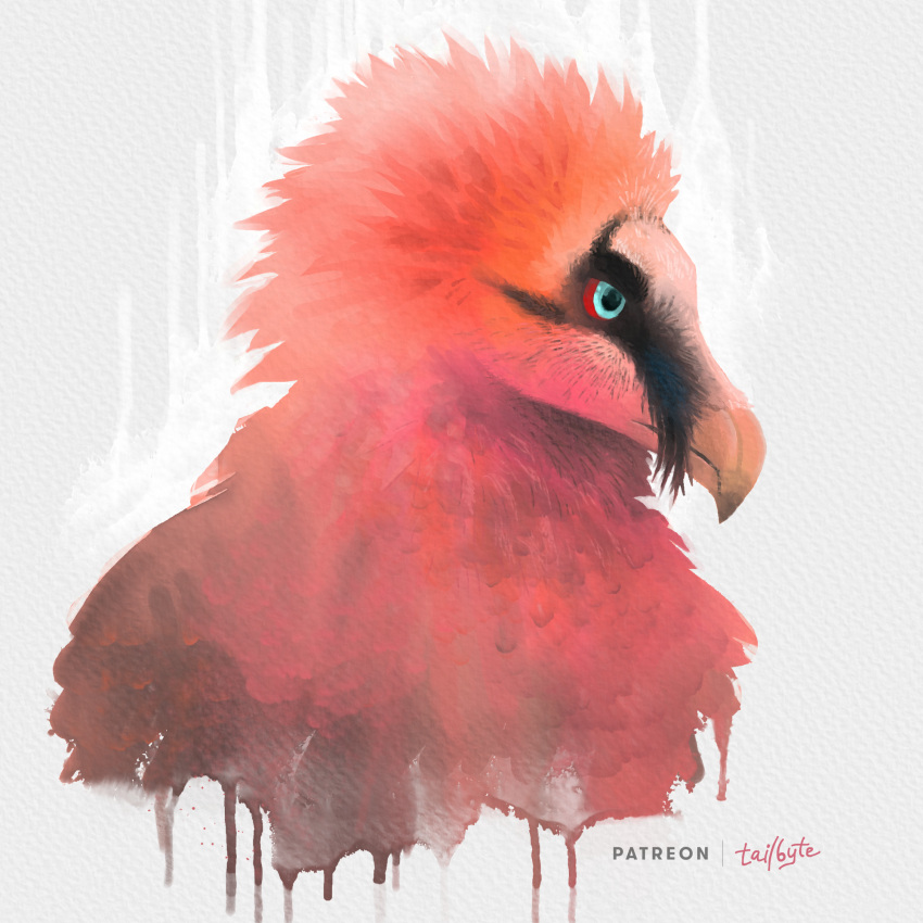 1:1 2022 accipitrid accipitriform ambiguous_gender anthro avian beak bearded_vulture bird blue_eyes digital_media_(artwork) digital_painting_(artwork) feathers grumpy hi_res markings old_world_vulture painting_(artwork) portrait red_sclera shaded signature simple_background solo tailbyte traditional_media_(artwork) vulture watercolor_(artwork)