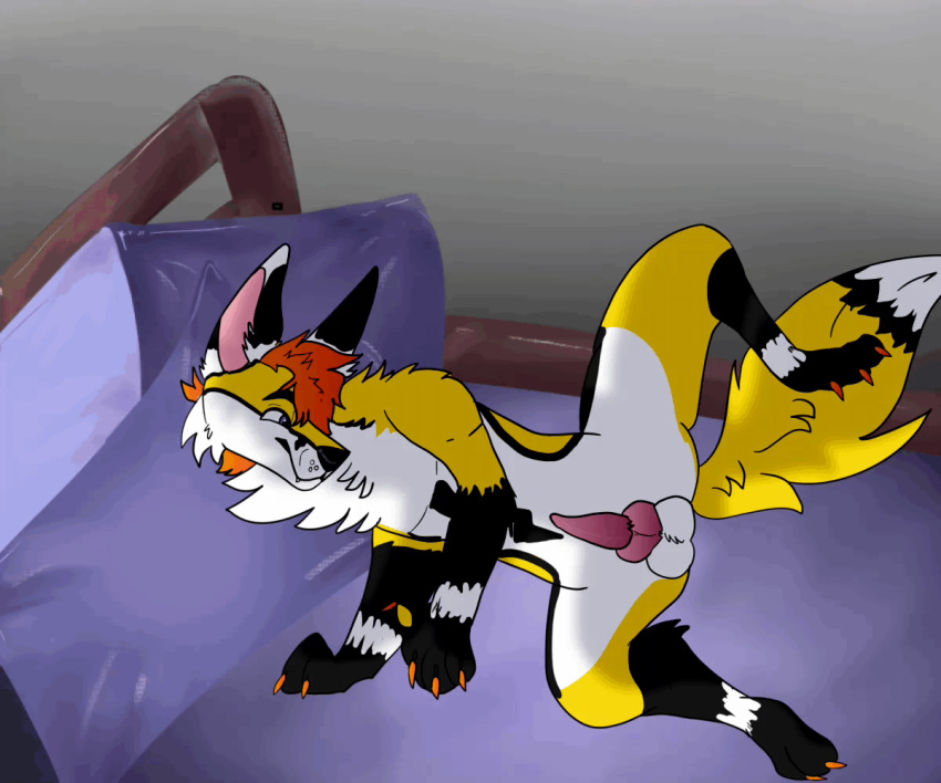 animated anthro balls bed bodily_fluids canid canine canis crescentcanine digital_media_(artwork) fox fur furniture genital_fluids genitals hair knot male mammal nude on_bed peeing penis solo urine wetting