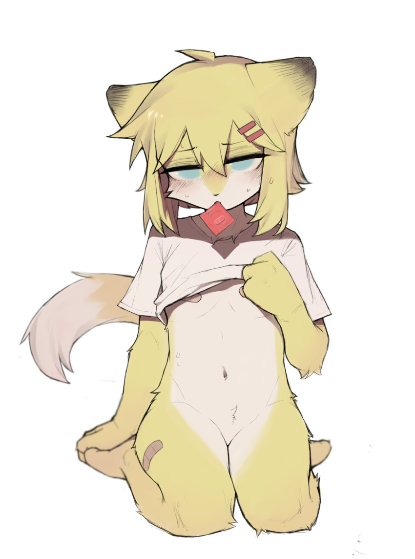 anthro bandage bandage_on_nipple blush canid canine canis condom condom_in_mouth crayon_(artist) domestic_dog female fur hi_res mammal sexual_barrier_device shirt_pulled_up simple_background sitting solo white_background white_body white_fur yellow_body yellow_fur