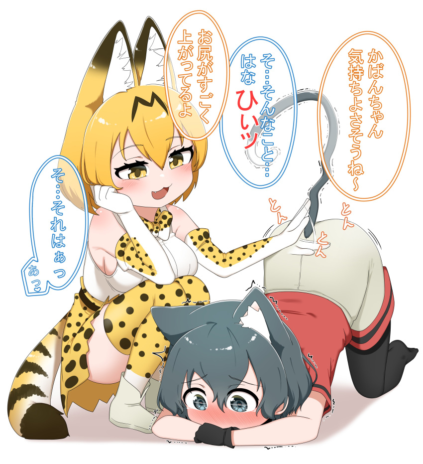 2girls :3 absurdres all_fours animal_ears bare_shoulders black_gloves black_hair black_pantyhose blonde_hair blue_eyes blush cat_ears cat_girl cat_tail chis_(js60216) commentary_request elbow_gloves extra_ears fang gloves grey_shorts high-waist_skirt highres kaban_(kemono_friends) kemono_friends kemonomimi_mode multiple_girls no_shoes pantyhose print_gloves print_skirt print_thighhighs red_shirt serval_(kemono_friends) serval_print shirt short_hair short_sleeves shorts skirt sleeveless squatting t-shirt tail translation_request white_shirt yellow_eyes zettai_ryouiki