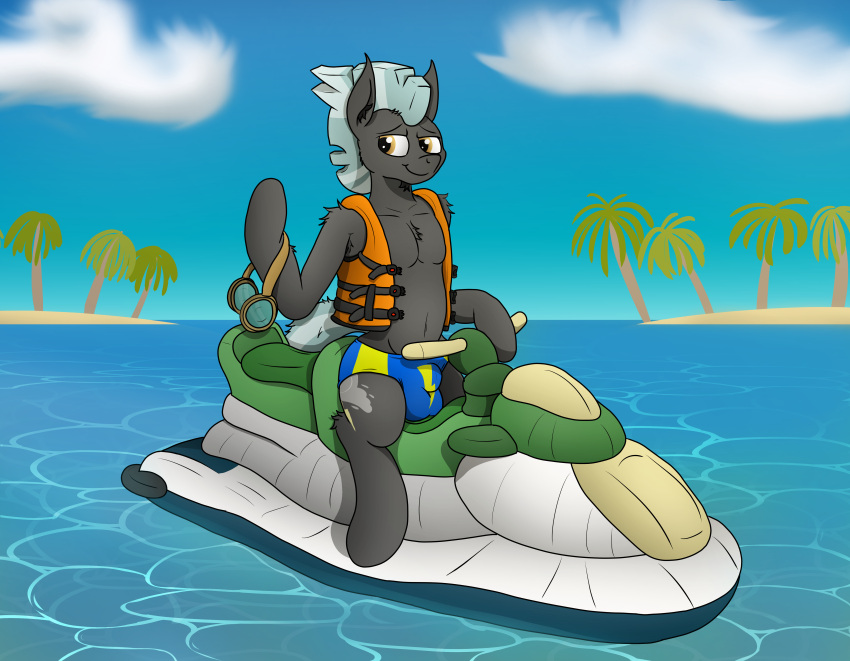 absurd_res bulge chest_tuft clothed clothing equid equine eyewear feral friendship_is_magic goggles hasbro hi_res horse jetski life_jacket looking_at_viewer male mammal my_little_pony navel open_clothing open_topwear partially_clothed pegasus pony sitting smile smiling_at_viewer solo speedo swimwear tacomytaco thunderlane_(mlp) topwear tuft underwear vest water wings
