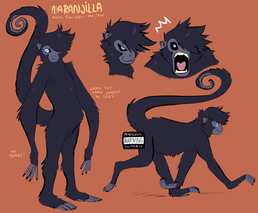 atelid censor_bar english_text expressions female feral haplorhine hi_res mammal model_sheet monkey new_world_monkey nude primate solo spider_monkey spoonfayse text thumbless