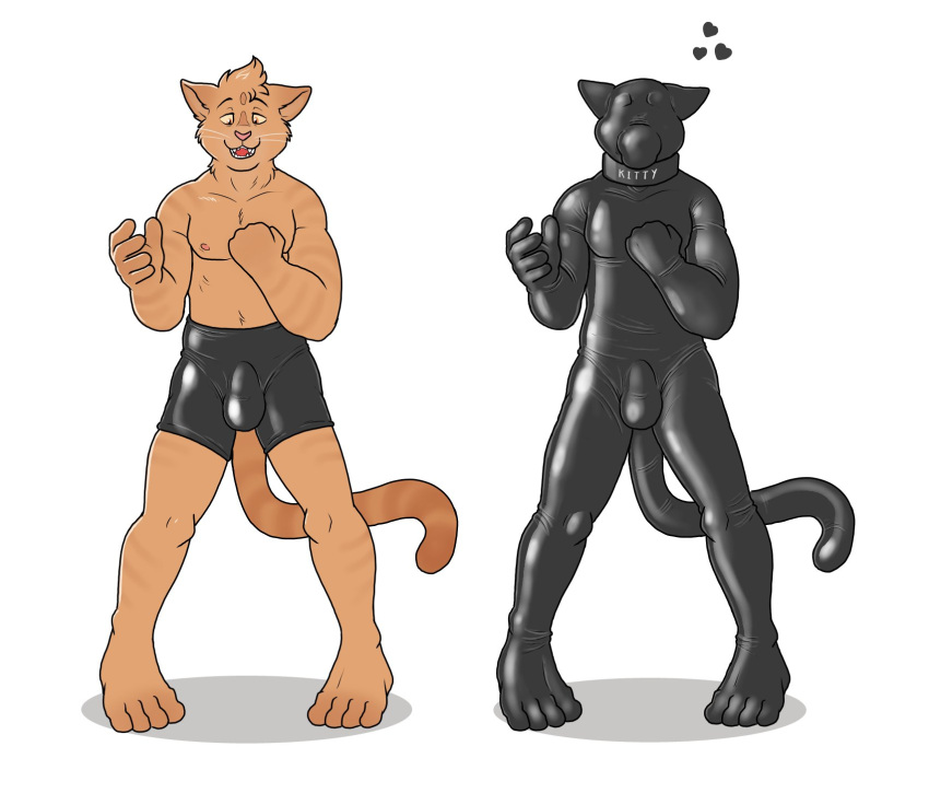 &lt;3 2022 anthro biped blueballs bulge clothed clothing collar digital_drawing_(artwork) digital_media_(artwork) domestic_cat drone english_text felid feline felis fur glistening glistening_body hi_res male mammal markings open_mouth rubber rubber_clothing rubber_creature rubber_shorts rubber_transformation sequence simple_background smile solo striped_markings stripes teeth text transformation white_background