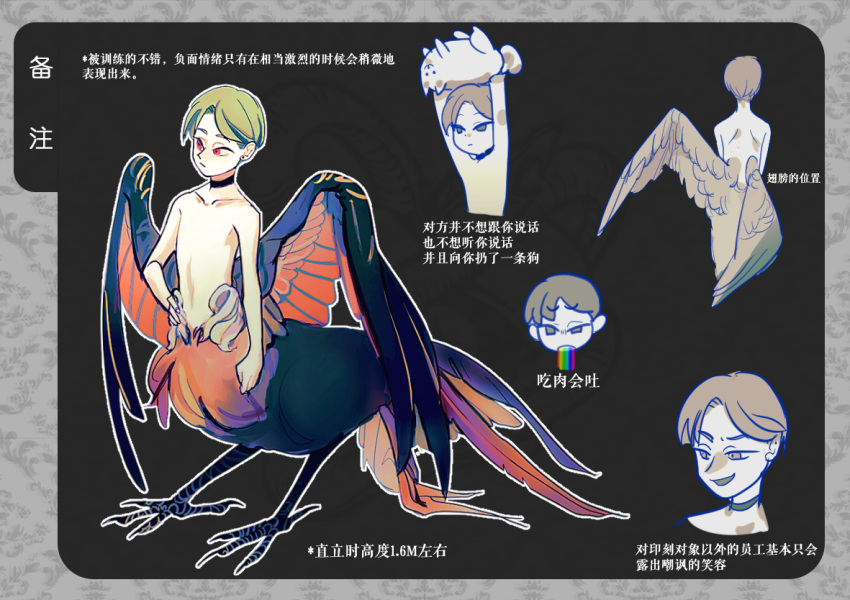 1boy bird_boy bird_tail bird_wings black_background black_choker blue_wings choker claws closed_mouth feathered_wings full_body green_hair hand_on_hip looking_to_the_side male_focus monster_boy multicolored_wings multiple_views nude orange_wings original phieumpratensl red_eyes reference_sheet short_hair standing tail taur wings