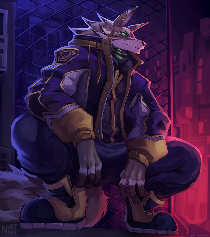 2022 anthro bottomwear canid canine clothing ear_piercing faceless_character faceless_male footwear hi_res jacket lifewonders looking_at_viewer male mammal nurinaki offscreen_male pants piercing plantigrade seth_(tas) shoes tokyo_afterschool_summoners topwear video_games