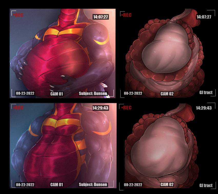 abdominal_bulge anthro belly bunsen digestion dragon duo hi_res internal male male/male oral_vore organs scalie simple_background stomach themikefox vore western_dragon zero_husky