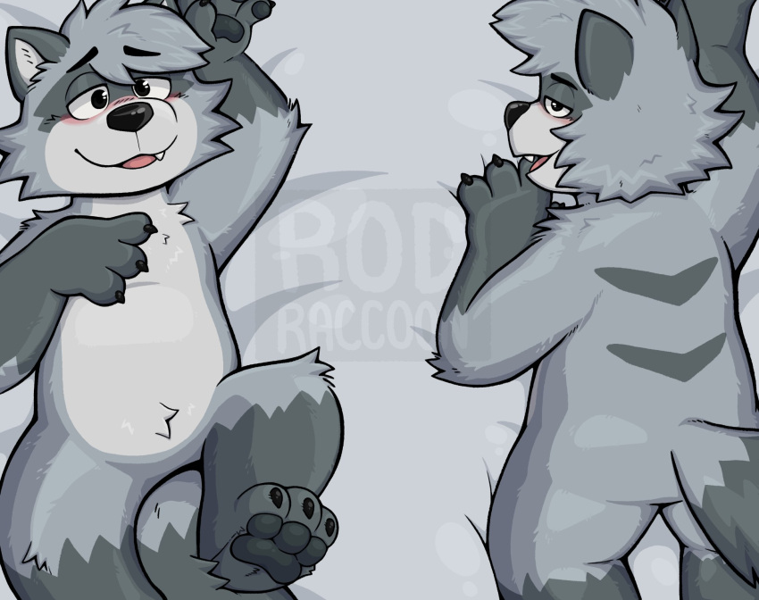 2022 3_toes anthro biped black_nose blush cute_fangs feet grey_body hi_res lying mammal procyonid raccoon rodraccoon solo toes