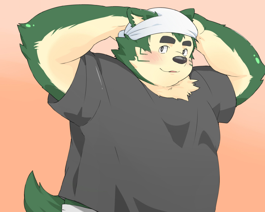 2022 anthro belly black_nose blush canid canine canis clothing domestic_dog green_body hi_res inunoshippo kemono lifewonders live-a-hero male mammal mokdai overweight overweight_male shirt solo topwear video_games