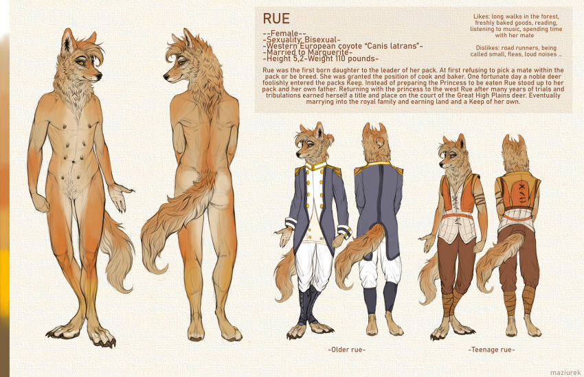 absurd_res adult anatomically anatomically_correct anthro brown_body canid canine canine_anatomy canis character clothed clothing coyote english_text female feral_anatomy genitals hi_res looking_at_viewer mammal maziurek model_sheet multi_nipple nipples nude paws pose rue solo teenager text uniform young