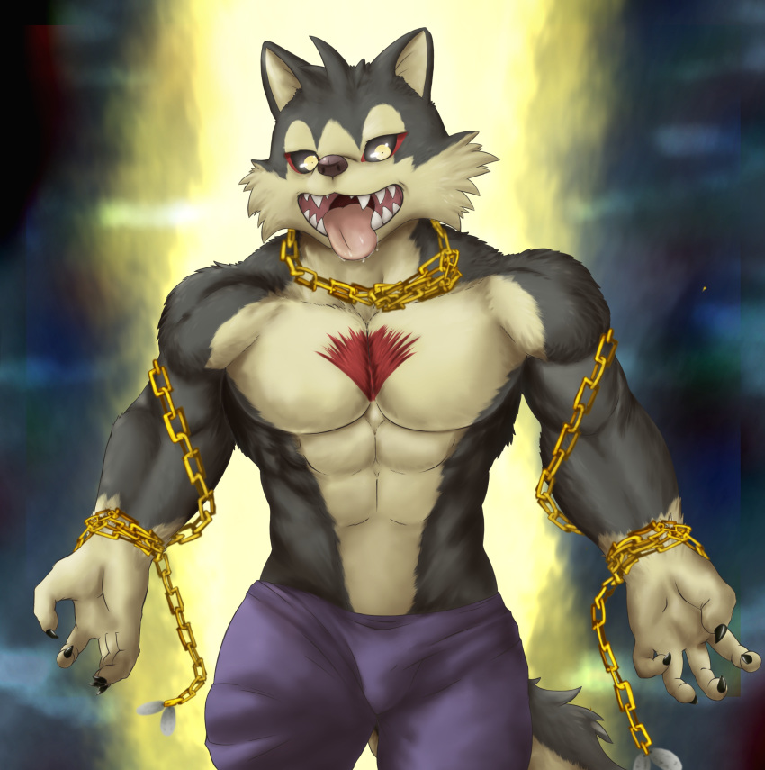 2021 absurd_res anthro biceps black_sclera bodily_fluids bottomwear bulge canid canine canis chain chibikoma clothing digital_drawing_(artwork) digital_media_(artwork) domestic_dog drooling fur garmr grey_body grey_fur hi_res lifewonders looking_at_viewer male mammal multicolored_body multicolored_fur muscular muscular_anthro muscular_male open_mouth pants pecs purple_bottomwear purple_clothing purple_pants saliva saliva_on_tongue solo tokyo_afterschool_summoners tongue tongue_out two_tone_body two_tone_fur video_games yellow_eyes