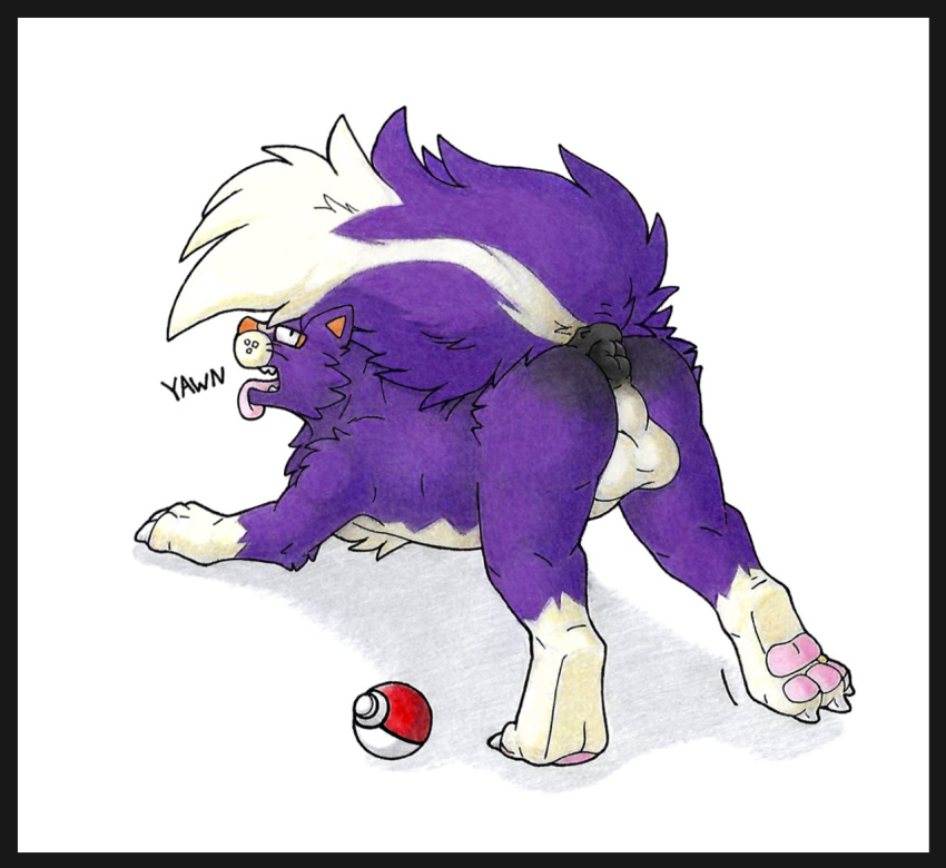 2021 3_toes anus backsack balls barefoot black_anus black_body black_border black_fur border butt cheek_tuft claws countershade_torso countershading danwolf15 digitigrade english_text facial_tuft feet feral fluffy fluffy_tail fur generation_4_pokemon genitals gloves_(marking) leg_markings looking_at_viewer looking_back male markings nintendo nude open_mouth orange_nose pawpads paws pink_pawpads pink_tongue pokeball pokemon pokemon_(species) presenting presenting_hindquarters pupils purple_body purple_fur raised_tail simple_background skuntank slit_pupils socks_(marking) solo species_transformation stretching text toe_claws toe_curl toes tongue tongue_out transformation tuft udtf video_games whiskers white_background white_body white_claws white_fur yawn