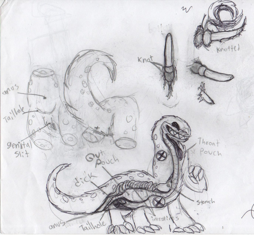 anatomical_diagram anatomy_reference anthro anus cross_section diagram digestive_system endo english_text halvid9508 hi_res internal invalid_tag label male mammal mawlo_(halvid9508) monster multi_limb pencil_(disambiguation) reproductive_anatomy smile soft_vore solo taur teeth text traditional_media_(artwork) vore