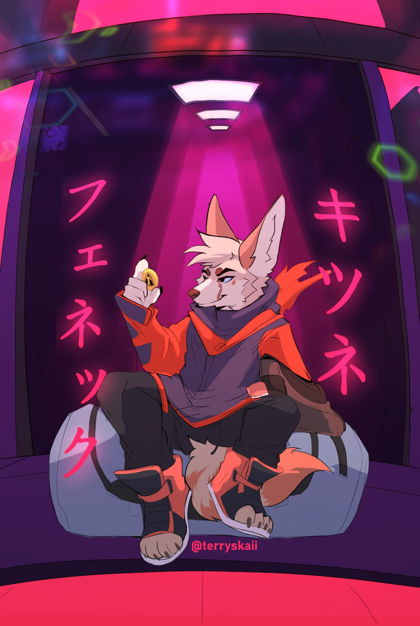 absurd_res anthro bag canid canine clothed clothing fennec footwear fox hi_res japanese_text male mammal paw_shoes perspective shoes solo terryskaii_(artist) text vaporwave