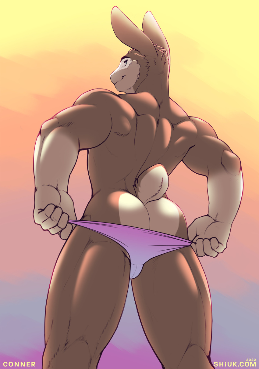 absurd_res anthro brown_body butt clothing colored conner_(shiuk) dated hi_res lagomorph leporid looking_back low-angle_view male mammal multicolored_body muscular pink_clothing pink_speedo pink_swimwear rabbit rear_view shaded shiuk short_tail signature simple_background solo speedo swimwear text two_tone_body