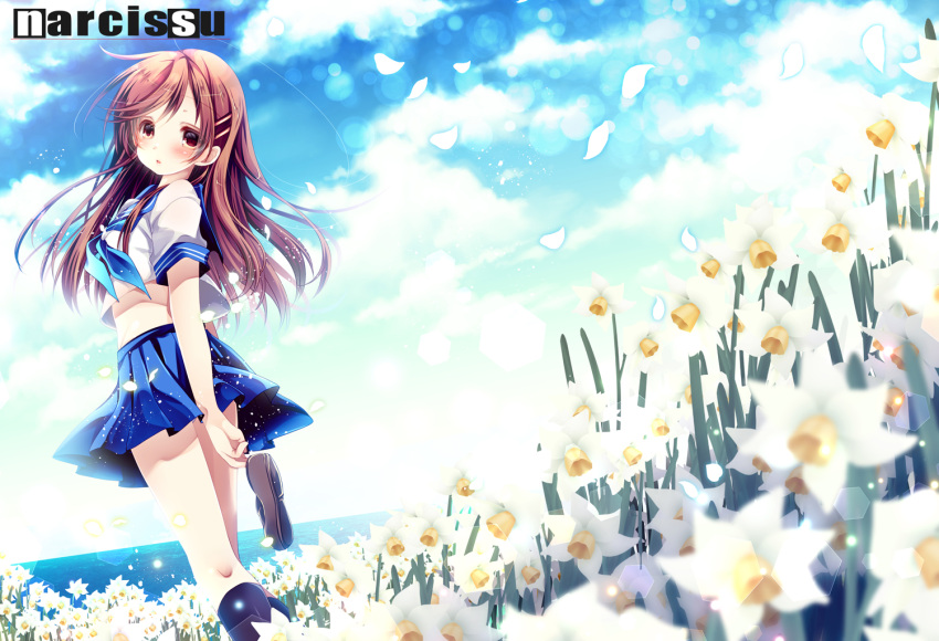 1girl black_socks blue_neckerchief blue_sailor_collar blue_skirt blue_sky brown_eyes brown_hair commentary_request copyright_name crop_top flower hair_ornament hairclip hikanyan holding holding_shoes long_hair looking_back narcissu narcissus_(flower) neckerchief outdoors parted_lips pleated_skirt sailor_collar sailor_shirt sakura_setsumi school_uniform serafuku shirt shoes short_sleeves skirt sky socks solo white_flower white_shirt