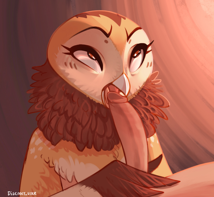 ambiguous_gender anthro avian beak bird discreet_user duo feathers genitals hi_res human human_on_anthro humanoid_genitalia humanoid_penis interspecies male mammal masked_owl oral owl penis tytonid