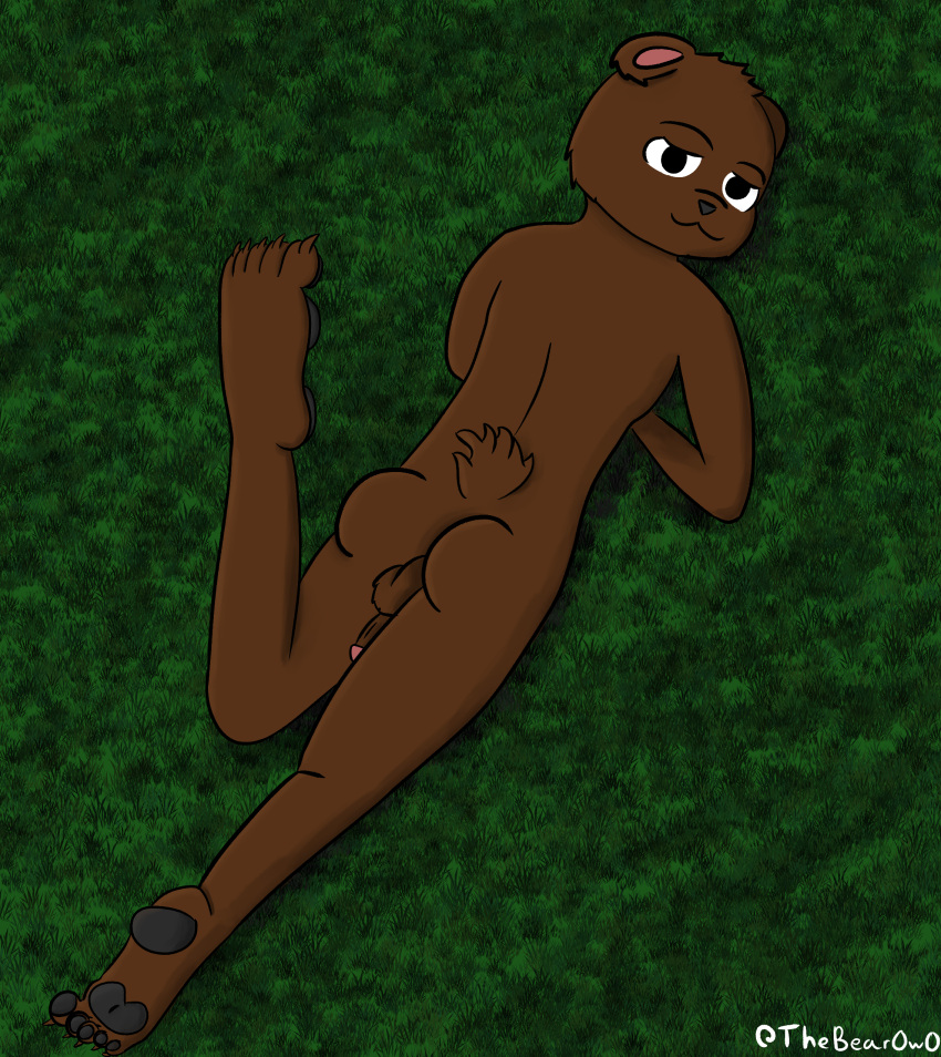 absurd_res anal anal_penetration anthro balls bear biped brown_body brown_fur butt erection feet fur genitals hair hi_res humanoid_genitalia humanoid_penis inside male mammal nude pawpads paws penetration penile penis seductive simple_background smile smirk solo ted_d._bear_(thebearowo) thebearowo