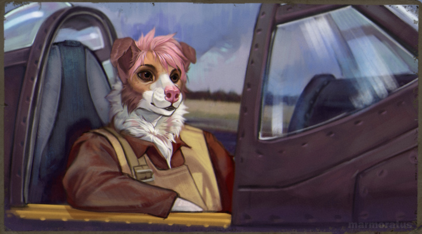 aircraft airplane anthro canid canine canis domestic_dog fluffy hi_res male mammal marmoratus pilot sky