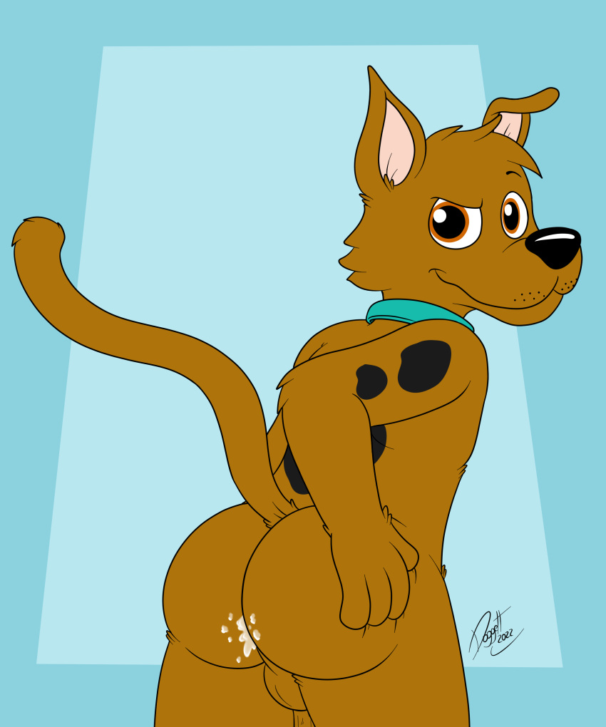 3_fingers absurd_res balls bodily_fluids butt canid canine canis cum cum_in_ass cum_inside doggettdouglasmcdog domestic_dog fingers genital_fluids genitals hand_on_butt hanna-barbera hi_res looking_at_viewer male mammal penis scooby-doo scooby-doo_(series) solo