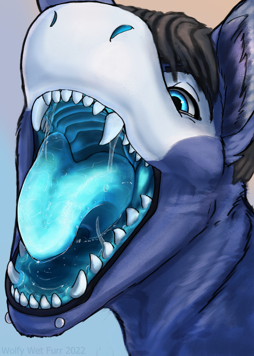 2022 blue_flesh bodily_fluids drooling fish fluffy_shark gullet hi_res invalid_tag male marine mouth_shot open_mouth pallet piercing saliva shark shork toothy vore wet wide wolfywetfurr_(artist)