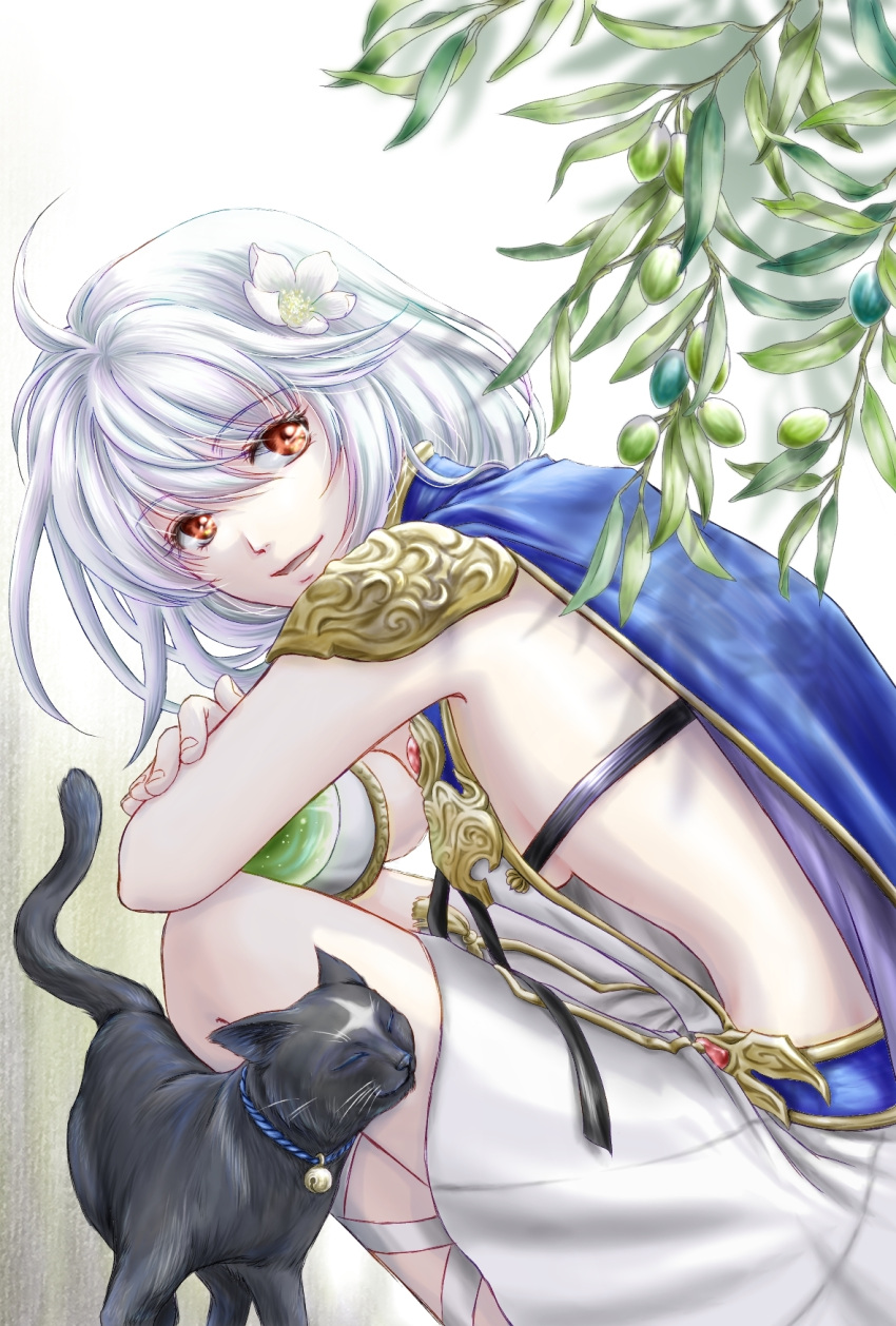 1girl ahoge another_eden armor bell black_cat blue_cape breasts cape cat closed_eyes crossed_arms dress feet_out_of_frame feinne_(another_eden) flower hair_between_eyes hair_flower hair_ornament highres kyros_(another_eden) looking_at_viewer looking_back medium_breasts medium_hair mido_riku neck_bell parted_lips plant red_eyes short_dress shoulder_armor sideboob smile squatting white_dress white_flower white_hair