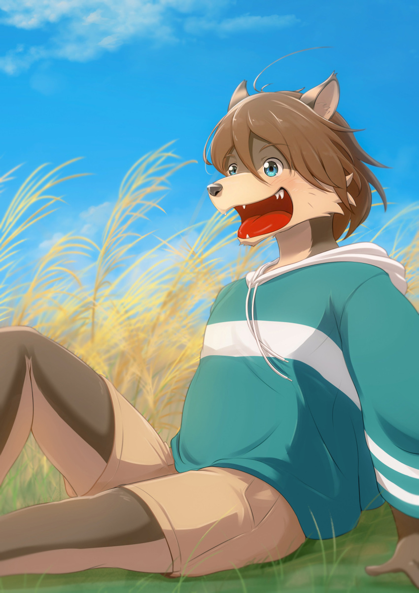 2022 absurd_res anthro bangs blue_clothing blue_eyes blue_hoodie blue_topwear bottomwear brown_body brown_fur brown_hair canid canine canis clothed clothing colored countershade_face countershade_torso countershading fangs field fully_clothed fur grey_nose hair hi_res hoodie khaki_shorts male mammal morenatsu multicolored_body multicolored_fur open_mouth outside ry_o shorts shun_(morenatsu) sitting sitting_on_ground sky smile solo tan_body tan_fur topwear two_tone_body two_tone_fur video_games visual_novel wolf