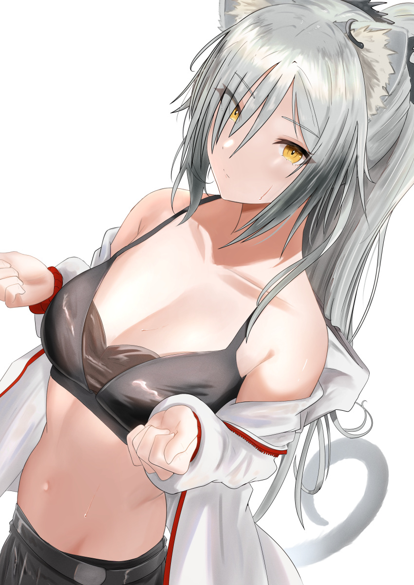 1girl absurdres animal_ears arknights bangs bare_shoulders breasts camisole cat_ears cleavage commentary crop_top grey_hair hair_over_one_eye highres jacket long_hair long_sleeves looking_at_viewer midriff navel off_shoulder open_clothes open_jacket schwarz_(arknights) solo sora_mame_(princess_0sora) stomach upper_body very_long_hair white_jacket yellow_eyes