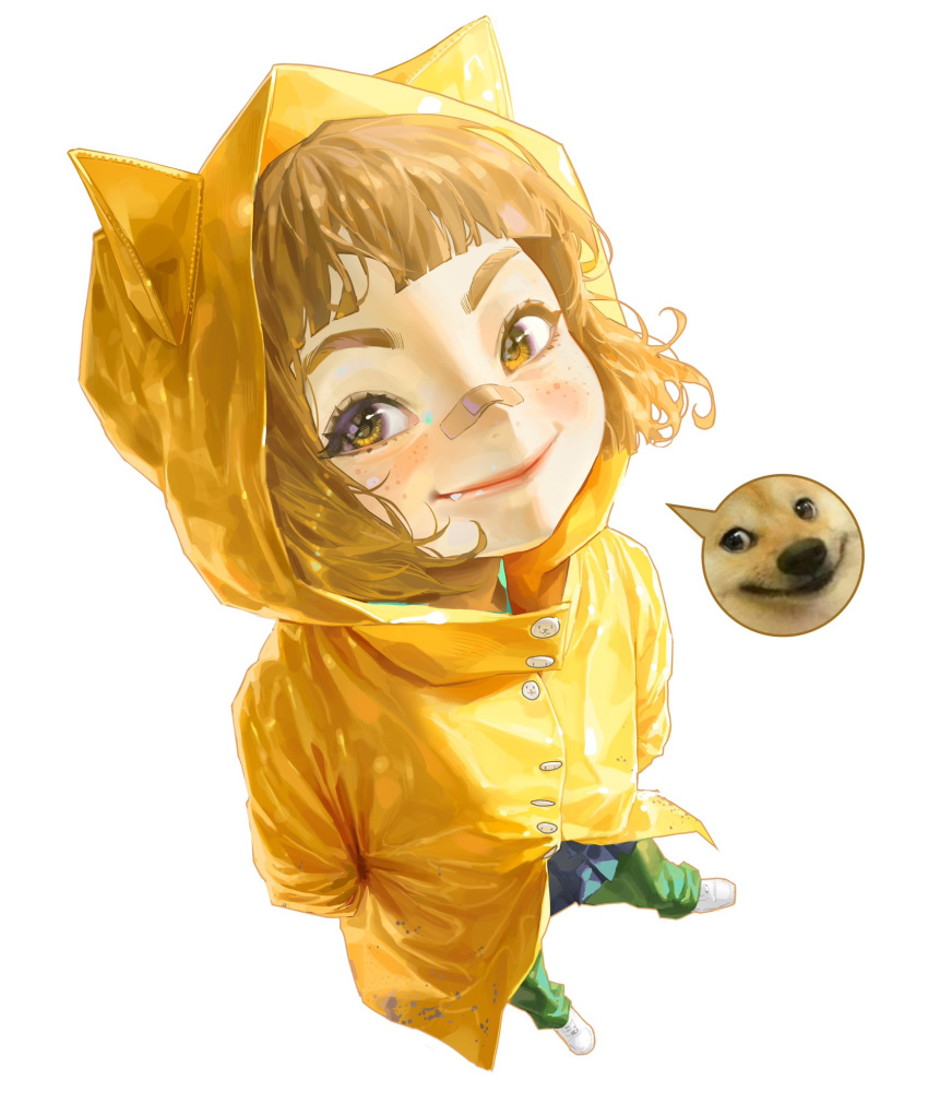 1girl animal_ears animal_hood arms_behind_back bandaid bandaid_on_face bandaid_on_nose blush brown_hair dog dog_hood doge fake_animal_ears freckles from_above green_pants heo_sung-moo highres hood looking_up meme original pants photo_inset raincoat reference_inset shoes short_hair smile solo standing white_footwear yellow_eyes yellow_raincoat