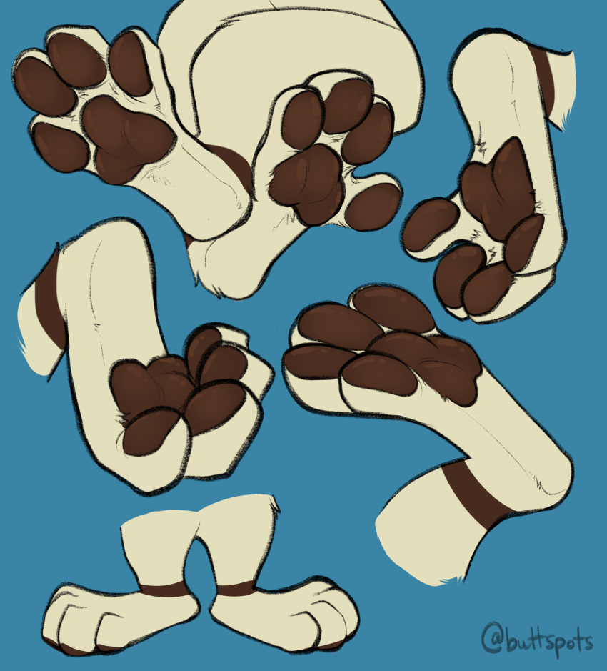 4_toes absurd_res blue_background brown_pawpads carifoxleopard crossed_legs feet feral foot_focus generation_2_pokemon hi_res male nintendo pawpads paws plantigrade pokemon pokemon_(species) raised_foot raised_leg simple_background smeargle soles spread_toes standing toe_curl toes video_games