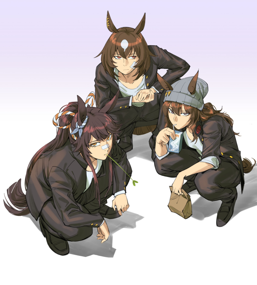 3girls animal_ears black_footwear black_jacket black_pants brown_eyes brown_hair closed_mouth delinquent drinking ear_ornament ears_through_headwear highres horse_ears horse_tail jacket juice_box looking_at_viewer mouth_hold multiple_girls nakayama_festa_(umamusume) narita_brian_(umamusume) open_clothes open_jacket pants ponytail ruukii_drift shirt shoes simple_background sirius_symboli_(umamusume) slav_squatting squatting stalk_in_mouth tail umamusume white_background white_shirt