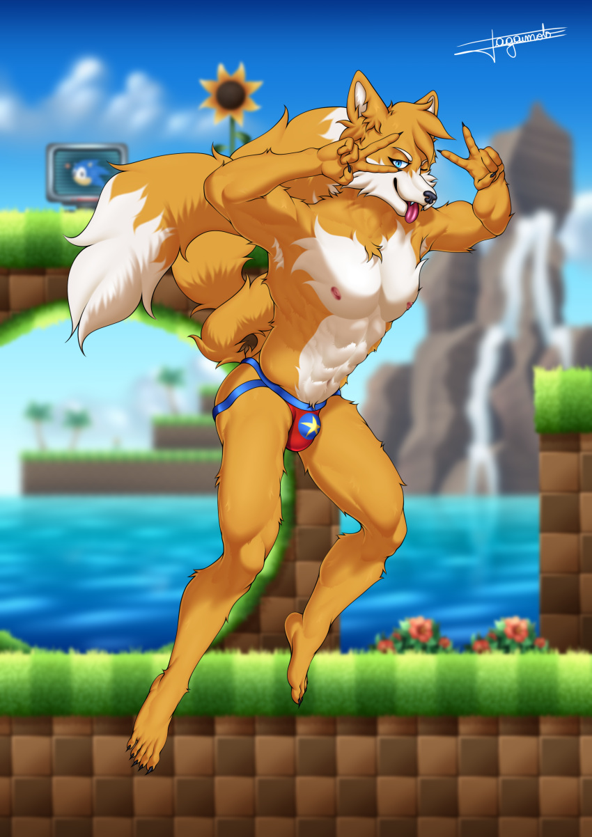abs absurd_res anthro biceps blue_eyes canid canine canis claws clothed clothing cloud detailed_background digital_media_(artwork) feet flower fox fur green_hill_zone hair hi_res jagaimoto jockstrap jockstrap_only looking_at_viewer male mammal miles_prower muscular muscular_anthro muscular_male nipples one_eye_closed open_mouth orange_body orange_fur outside pecs plant sega sky solo sonic_the_hedgehog_(series) sunflower tongue tongue_out underwear underwear_only video_games water white_body wink