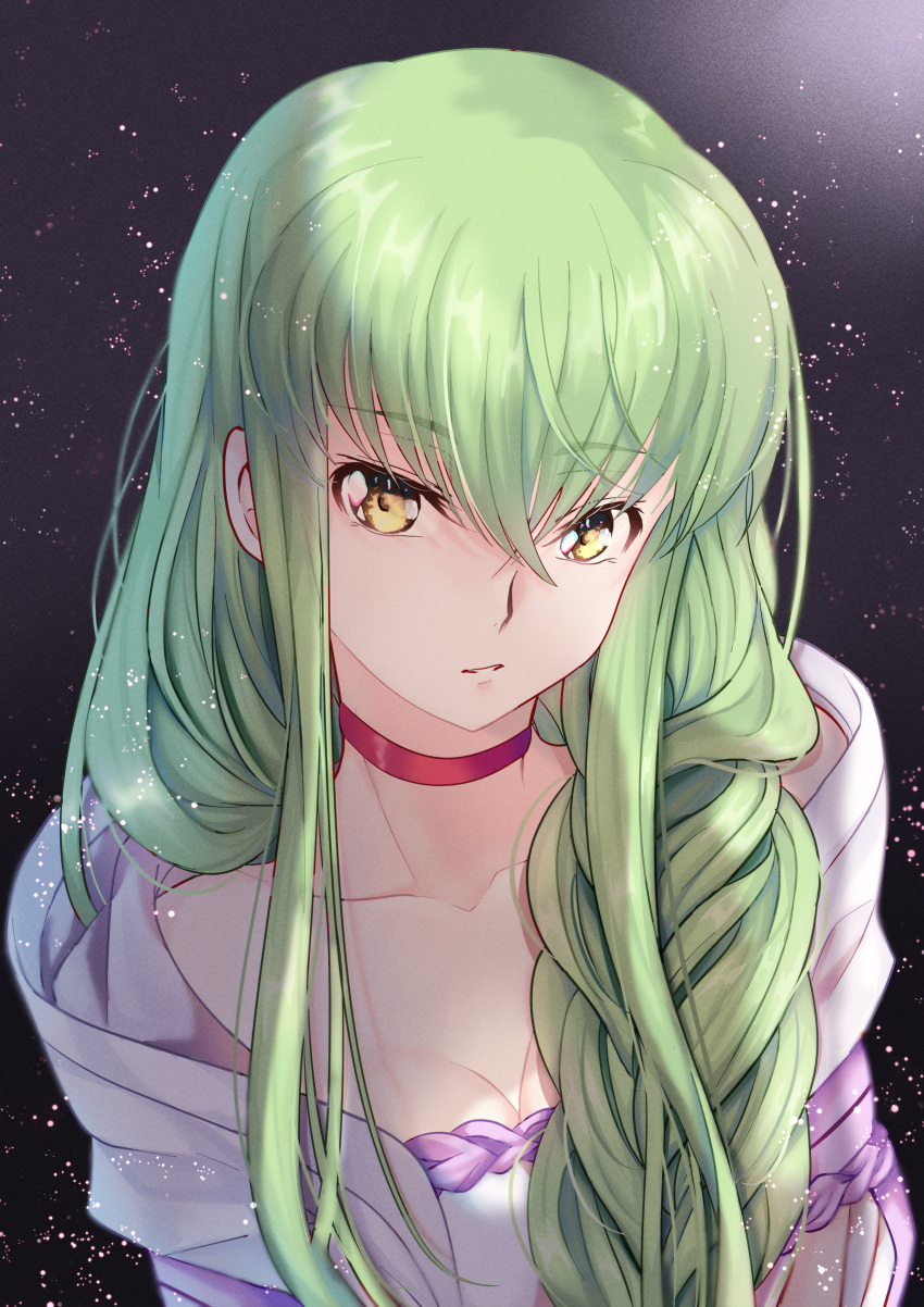 1girl absurdres bangs braid braided_ponytail breasts budgiepon c.c. choker cleavage code_geass collarbone cosplay green_hair hair_between_eyes hair_over_shoulder highres kumo_desu_ga_nani_ka? long_hair looking_at_viewer medium_breasts parted_lips ponytail red_choker shiraori shiraori_(cosplay) solo upper_body very_long_hair yellow_eyes