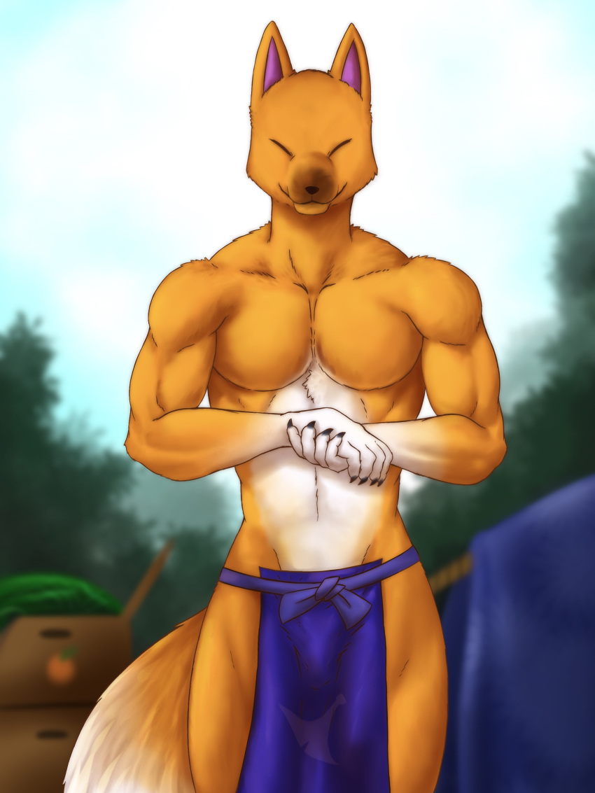 2021 abs absurd_res animal_crossing anthro biped bottomwear canid canine chibikoma clothed clothing crazy_redd digital_drawing_(artwork) digital_media_(artwork) fingers fox fur hi_res loincloth ls male mammal muscular muscular_anthro muscular_male nintendo orange_body orange_fur pecs smile solo topless topless_anthro topless_male