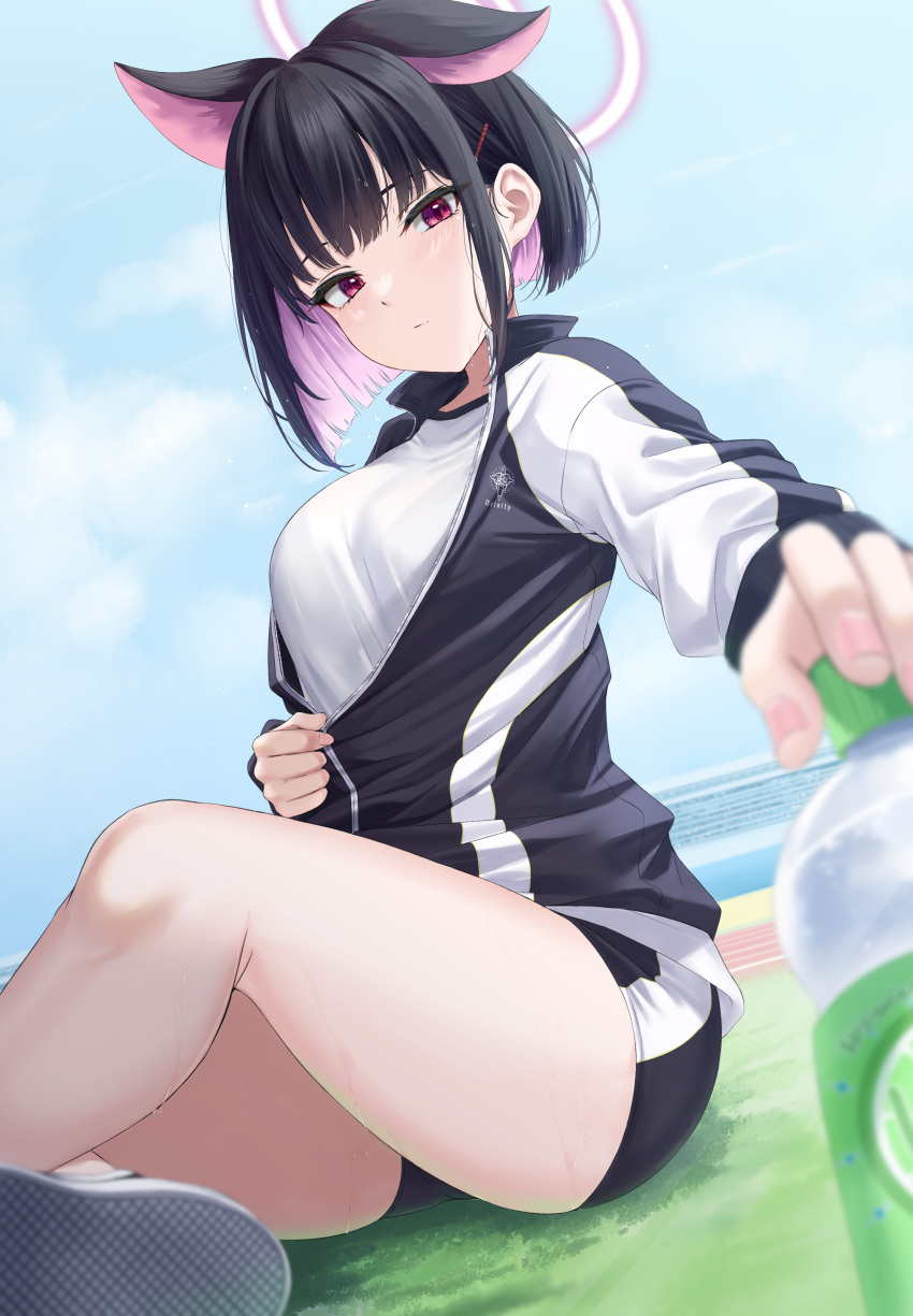 1girl absurdres animal_ears bangs bare_legs black_buruma black_hair black_jacket blue_archive blue_sky blurry blurry_foreground bob_cut bottle breasts buruma cat_ears closed_mouth cloud colored_inner_hair day dutch_angle extra_ears feet_out_of_frame field gym_uniform hair_ornament hairclip halo highres holding holding_bottle jacket kazusa_(blue_archive) long_sleeves looking_at_viewer medium_breasts multicolored_clothes multicolored_hair multicolored_jacket outdoors outstretched_hand partially_unzipped plastic_bottle rama_(yu-light8) red_eyes shirt shoes short_hair sidelocks sitting sky sneakers solo thighs track_jacket two-tone_hair two-tone_jacket unzipping water_bottle white_shirt