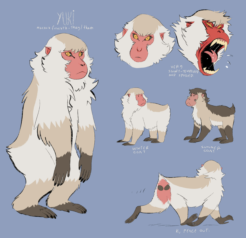 :&lt; ambiguous_gender angry english_text expressions feral haplorhine hi_res japanese_macaque macaque mammal model_sheet monkey nonbinary_(lore) old_world_monkey primate solo spoonfayse summer_coat text winter_coat