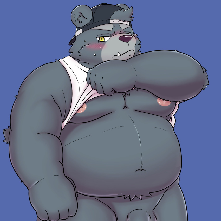 1:1 2022 anthro bear belly big_belly blush clothed clothing clothing_lift cute_fangs genitals hat headgear headwear hi_res humanoid_hands kemono male mammal moobs navel nipples overweight overweight_male penis sangguri_32 shirt shirt_lift simple_background solo topwear