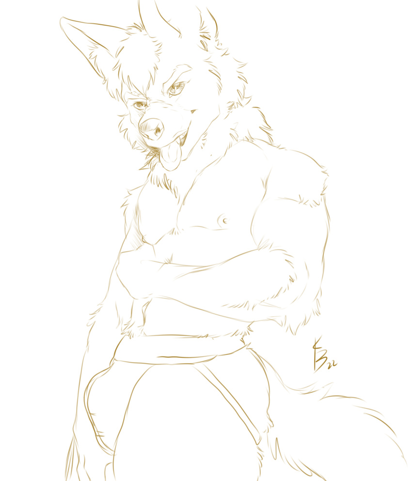absurd_res anthro biceps bulge canid canine chest_(disambiguation) clothing costume drawing erection fennec fox furry fursuit groin_covered hi_res jock jockstrap jockstrap_only kennehbreen male mammal model_sheet muscular nude owo pose sketch snarling straps tongue underwear uwu
