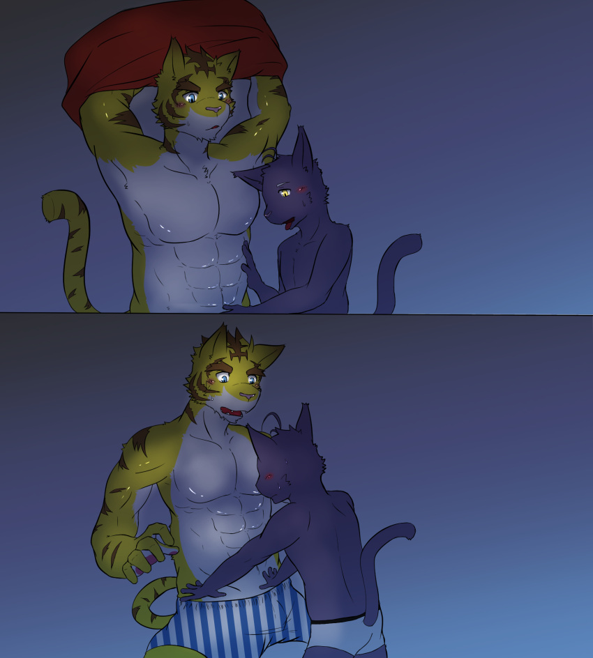 anthro blue_background blue_eyes blush cat_tail clothing domestic_cat duo felid feline felis hi_res male male/male mammal markings morenatsu muscular muscular_male pantherine paomer red_clothing red_topwear shin_(morenatsu) shirtless_male simple_background striped_markings striped_tail stripes tail_markings tiger tiger_tail topwear torahiko_(morenatsu) underwear yellow_eyes